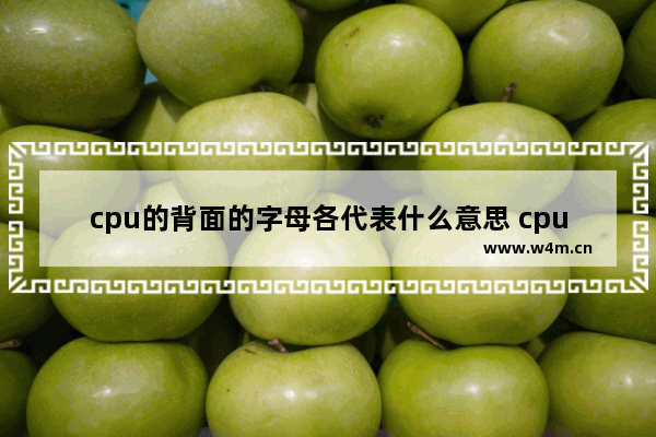 cpu的背面的字母各代表什么意思 cpu后的h是什么意思