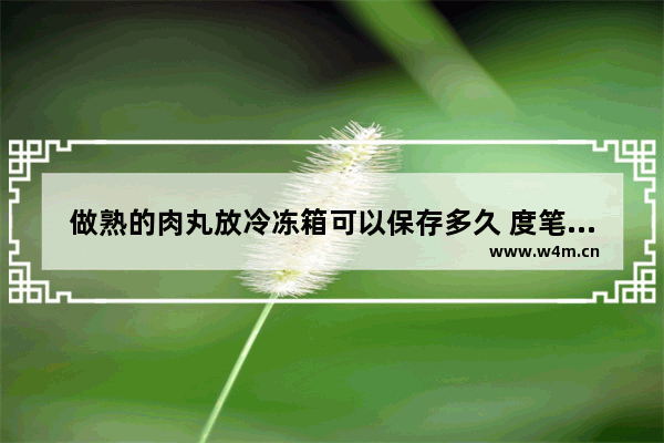 做熟的肉丸放冷冻箱可以保存多久 度笔记本电脑存