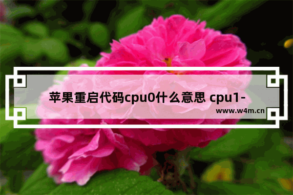 苹果重启代码cpu0什么意思 cpu1-0是什么材质