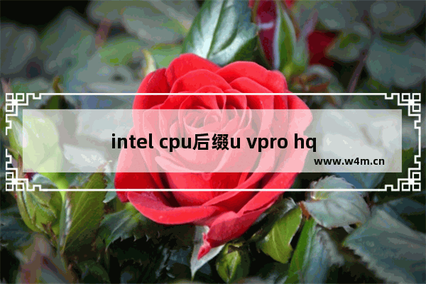 intel cpu后缀u vpro hq k t mx分别是什么意思 cpu um