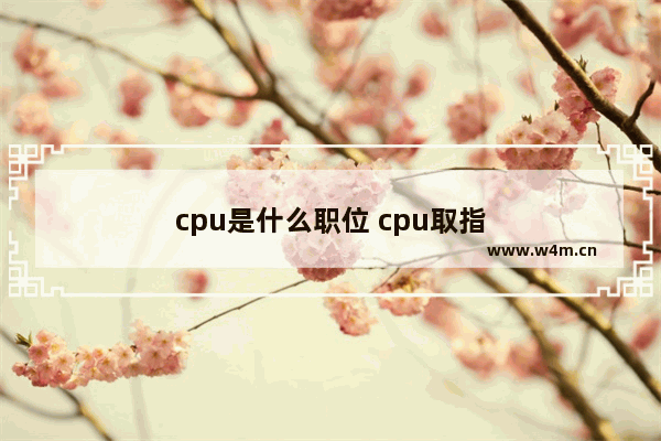 cpu是什么职位 cpu取指