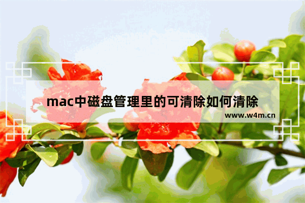 mac中磁盘管理里的可清除如何清除