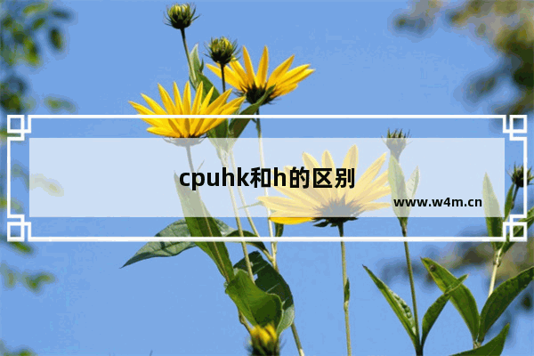 cpuhk和h的区别