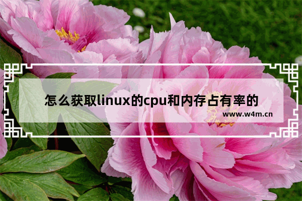 怎么获取linux的cpu和内存占有率的数据