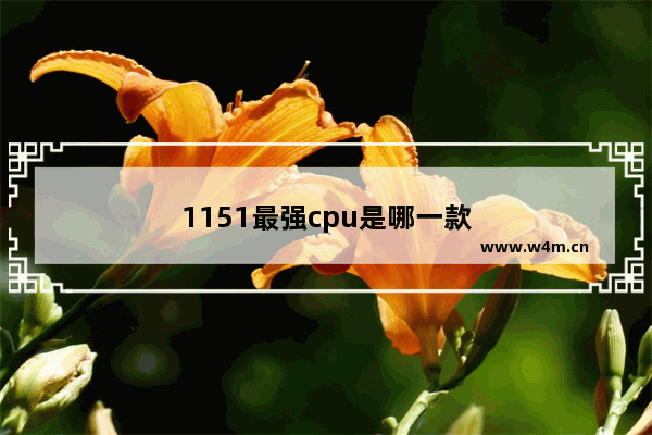 1151最强cpu是哪一款