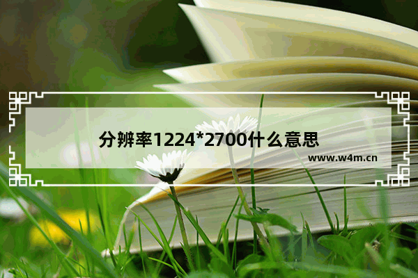 分辨率1224*2700什么意思