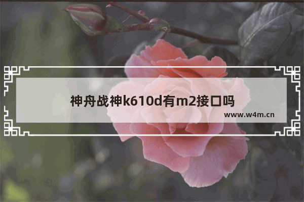 神舟战神k610d有m2接口吗