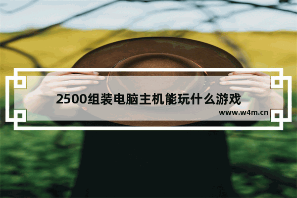 2500组装电脑主机能玩什么游戏