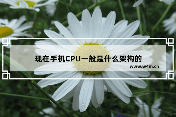 现在手机CPU一般是什么架构的