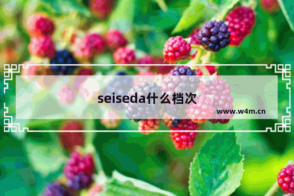 seiseda什么档次