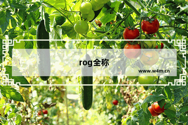 rog全称