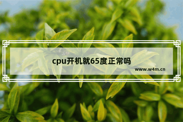 cpu开机就65度正常吗