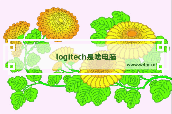 logitech是啥电脑