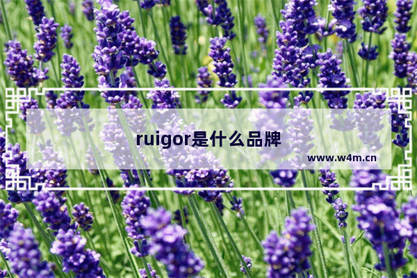 ruigor是什么品牌