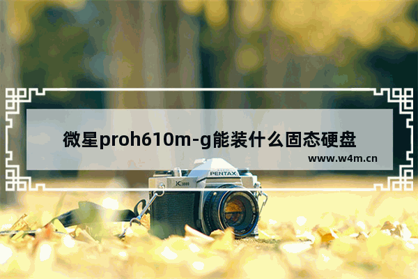 微星proh610m-g能装什么固态硬盘