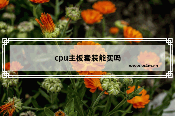 cpu主板套装能买吗