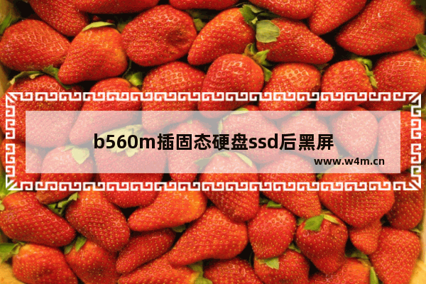 b560m插固态硬盘ssd后黑屏