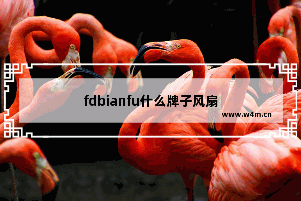 fdbianfu什么牌子风扇