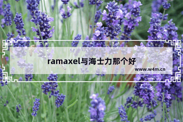 ramaxel与海士力那个好