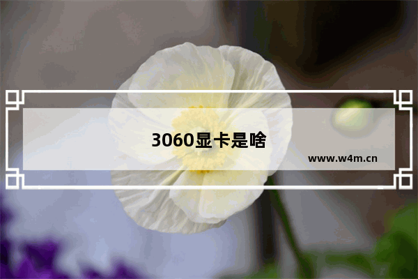 3060显卡是啥