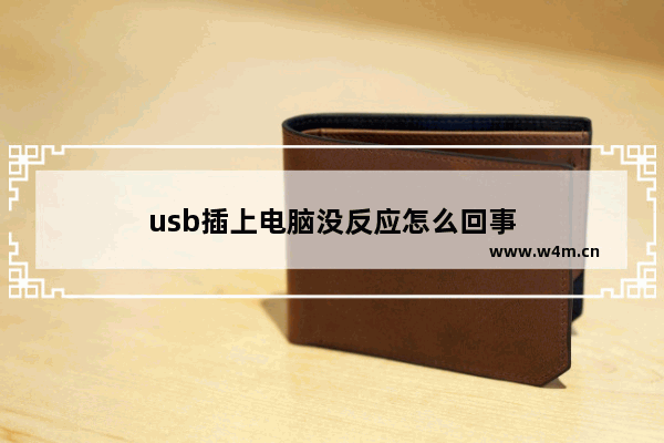 usb插上电脑没反应怎么回事