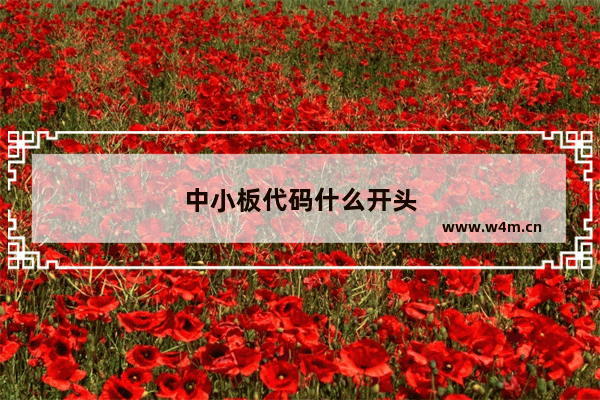 中小板代码什么开头