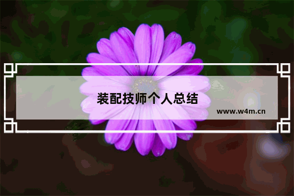 装配技师个人总结