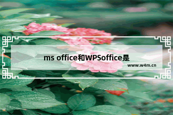 ms office和WPSoffice是笔记本自带的吗