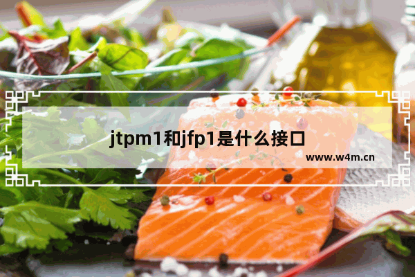 jtpm1和jfp1是什么接口