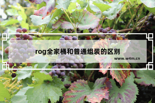 rog全家桶和普通组装的区别