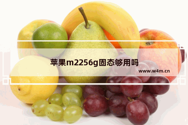 苹果m2256g固态够用吗