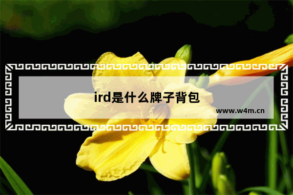 ird是什么牌子背包