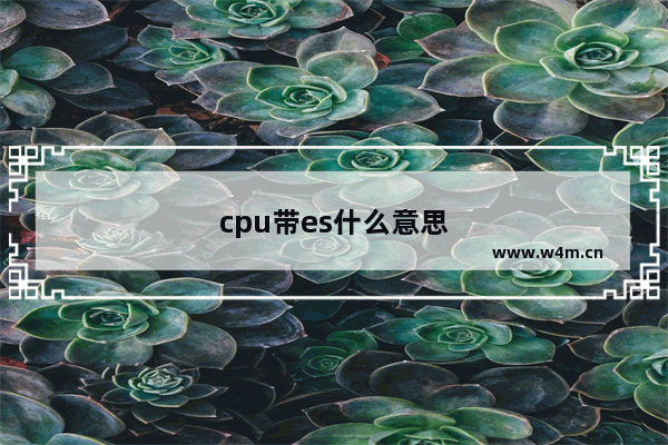 cpu带es什么意思