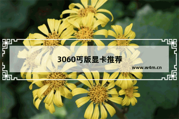 3060丐版显卡推荐