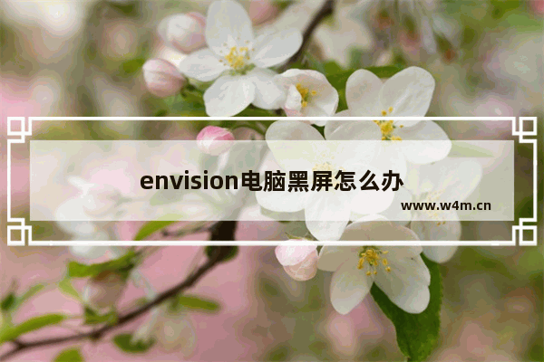 envision电脑黑屏怎么办