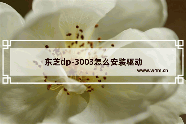 东芝dp-3003怎么安装驱动