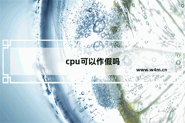 cpu可以作假吗