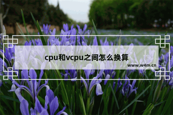 cpu和vcpu之间怎么换算