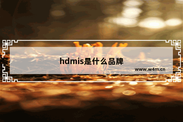 hdmis是什么品牌