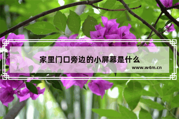 家里门口旁边的小屏幕是什么