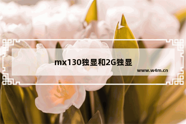 mx130独显和2G独显