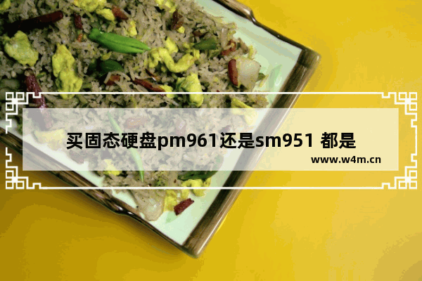 买固态硬盘pm961还是sm951 都是256G