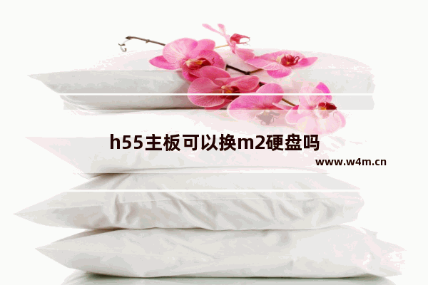 h55主板可以换m2硬盘吗