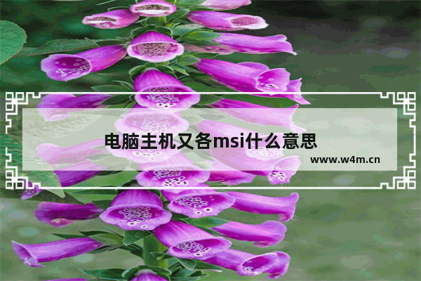 电脑主机又各msi什么意思