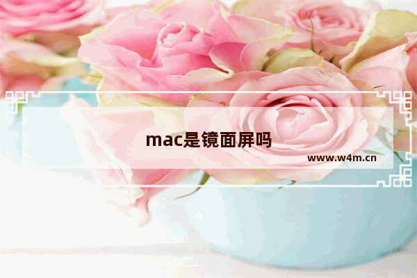 mac是镜面屏吗