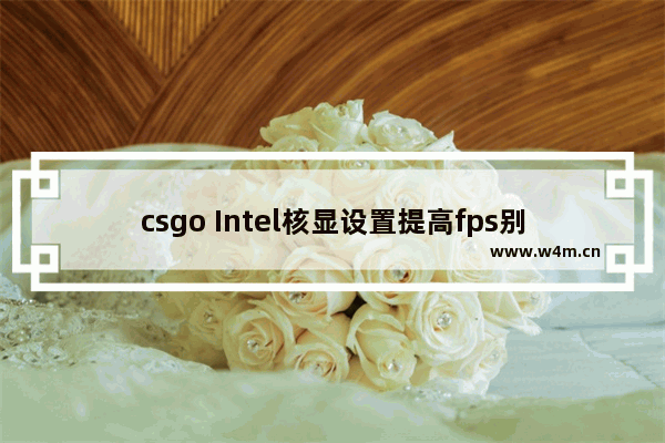 csgo Intel核显设置提高fps别的游戏或许也合适