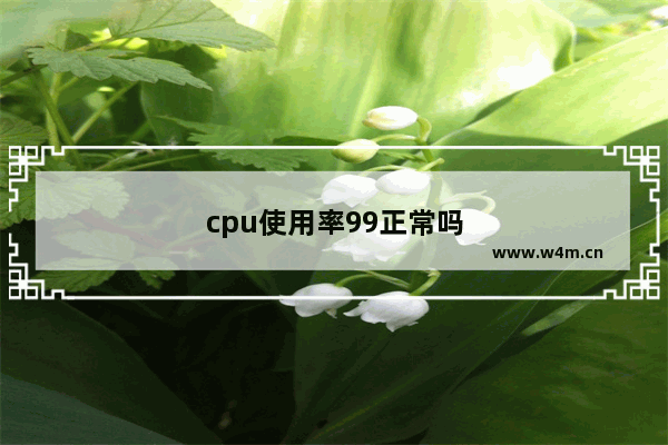 cpu使用率99正常吗