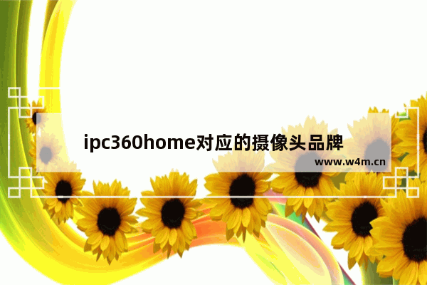 ipc360home对应的摄像头品牌