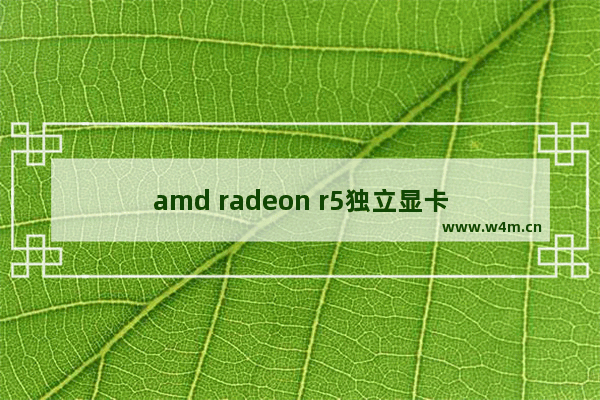 amd radeon r5独立显卡