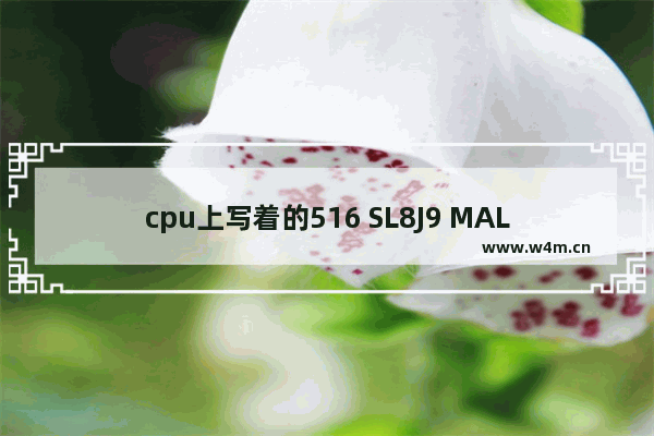 cpu上写着的516 SL8J9 MALAY 2.93GHZ/1M/533/04A都是什么意思